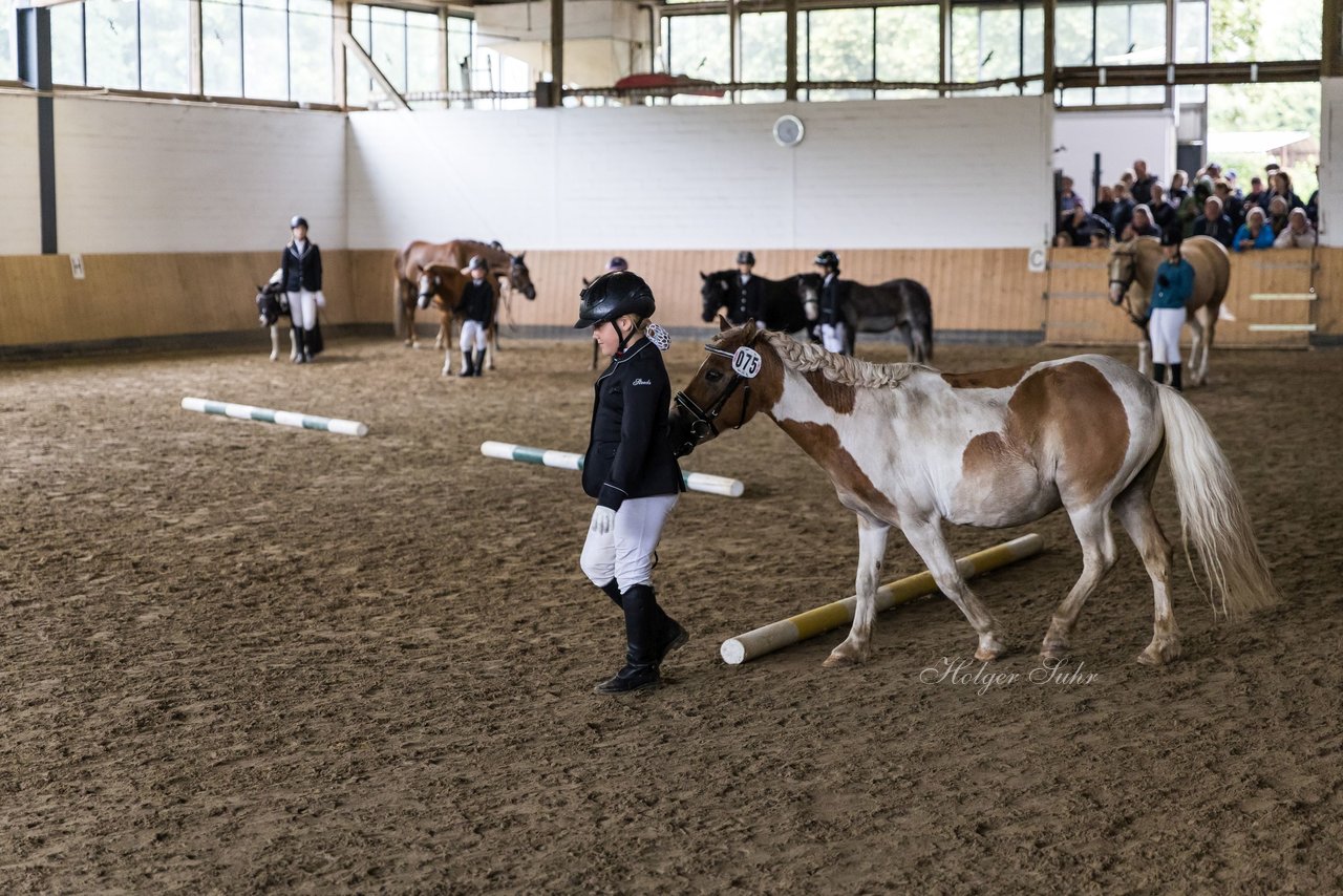 Bild 75 - Pony Akademie Turnier